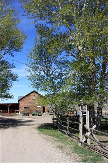 Rand Creek Ranch Hotell Wapiti Rom bilde